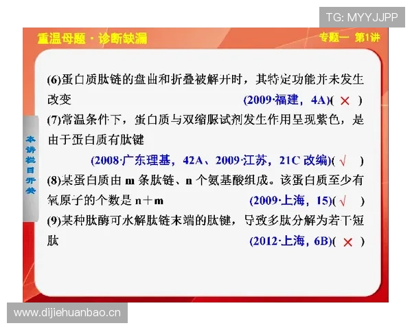 射击比赛规则详解与赛制解析:从入门到精通的全面指南 射击比赛规则详解与赛制解析:从入门到精通的全面指南